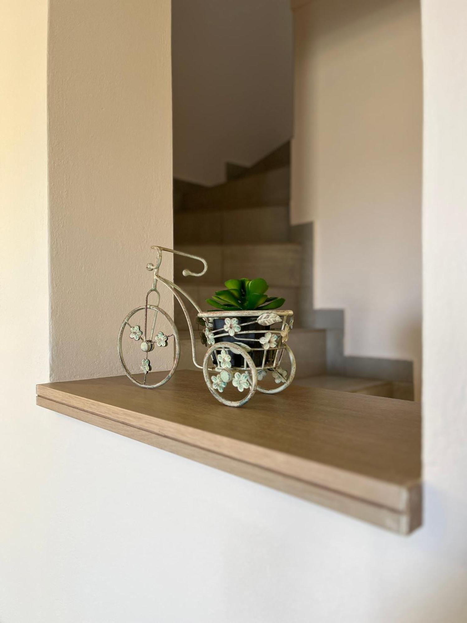 Alona Luxury Apartment *